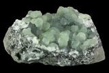 Botryoidal Prehnite Crystal Cluster - Connecticut #100173-1